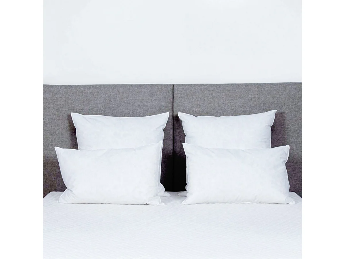 Oreiller Chambord 45x70 cm Duvet & Plumes