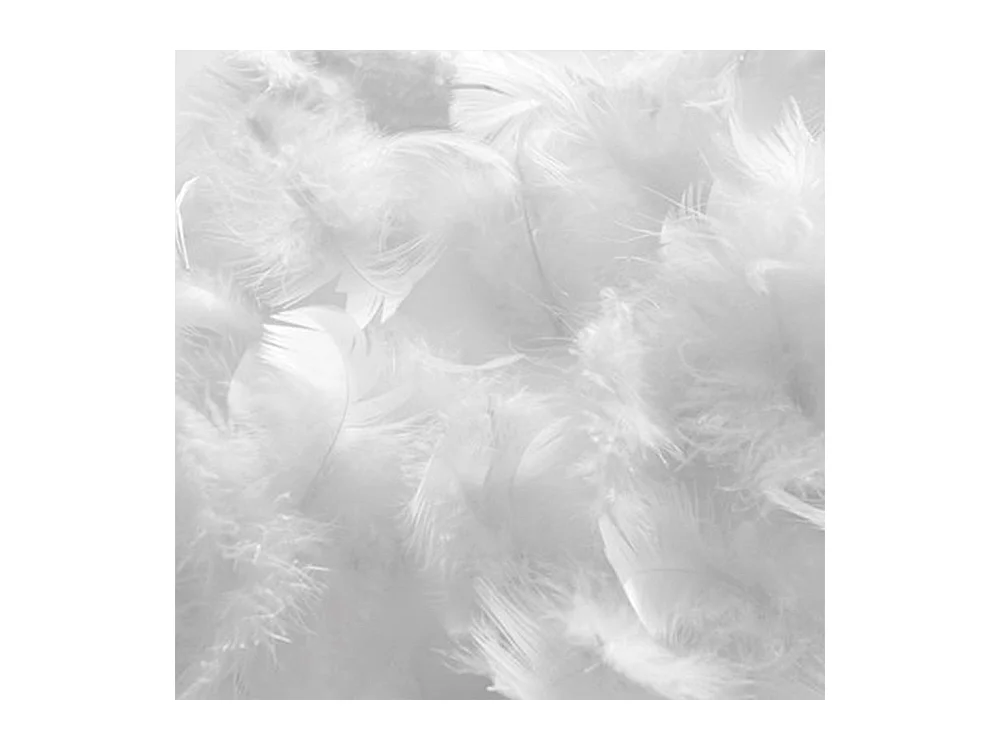 BELLECOUR LITERIE | Lot de 4 oreillers 45x70 cm CHAMBORD | Duvet & Plumes