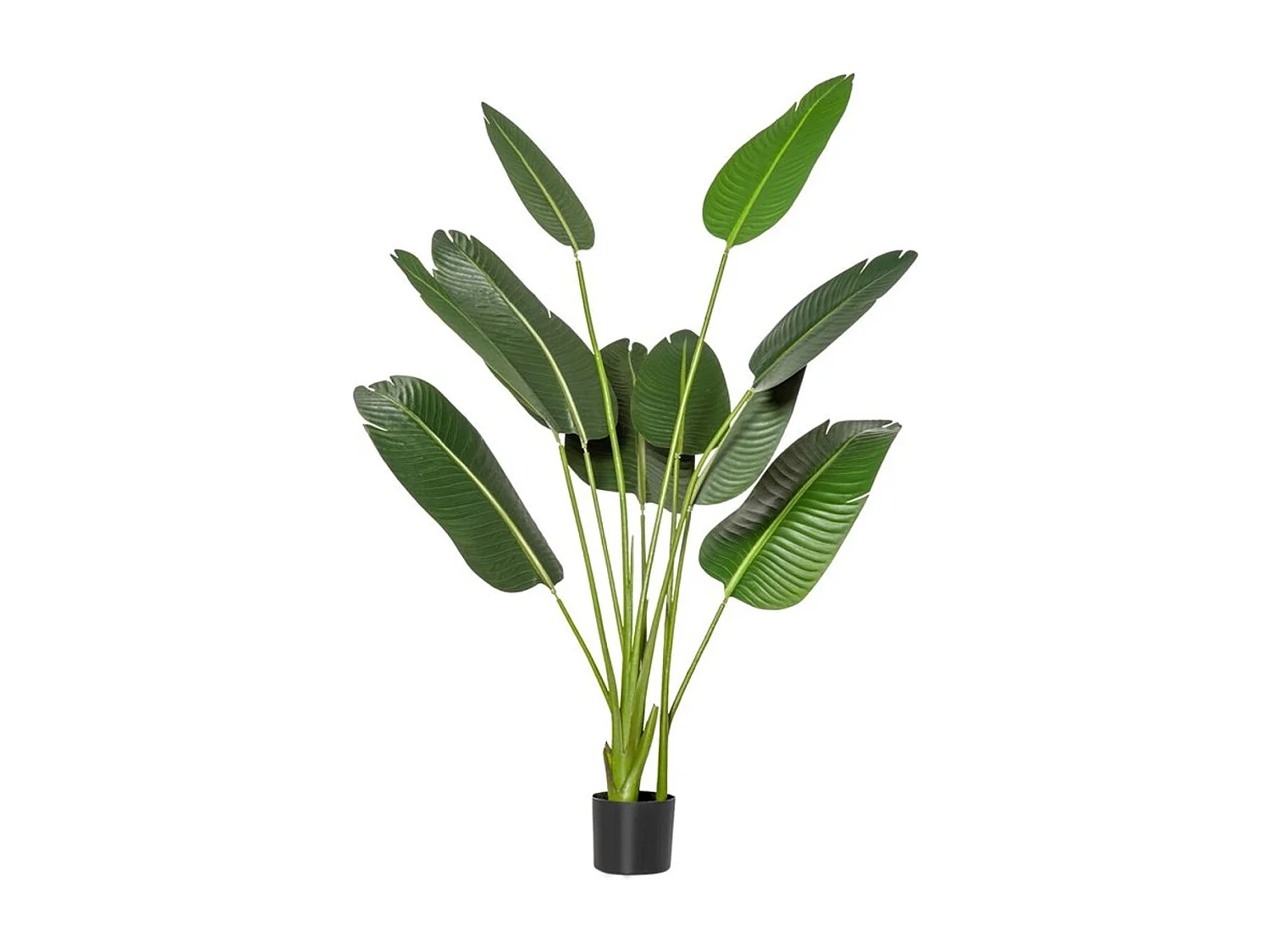 Árbol de plátano artificial verde 15x15x160 cm HOMCOM