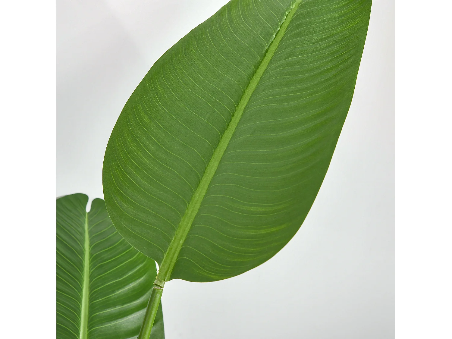 Árbol de plátano artificial verde 15x15x160 cm HOMCOM