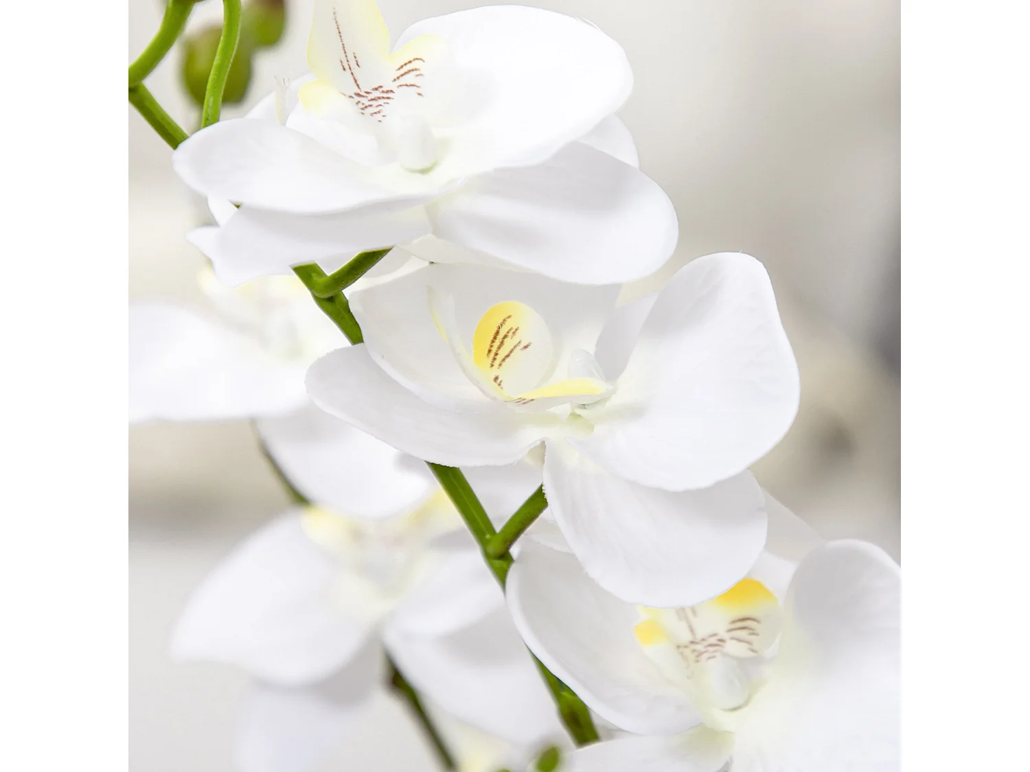 Planta artificial blanco 16.5x16.5x75 cm HOMCOM