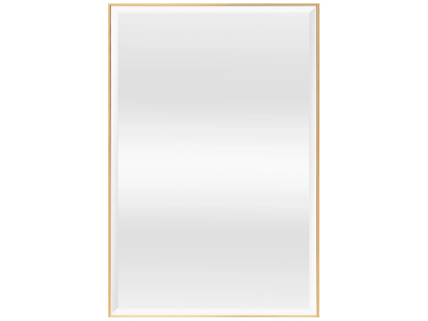 Miroir mural Novoli rectangulaire 92 x 62 cm doré [en.casa]