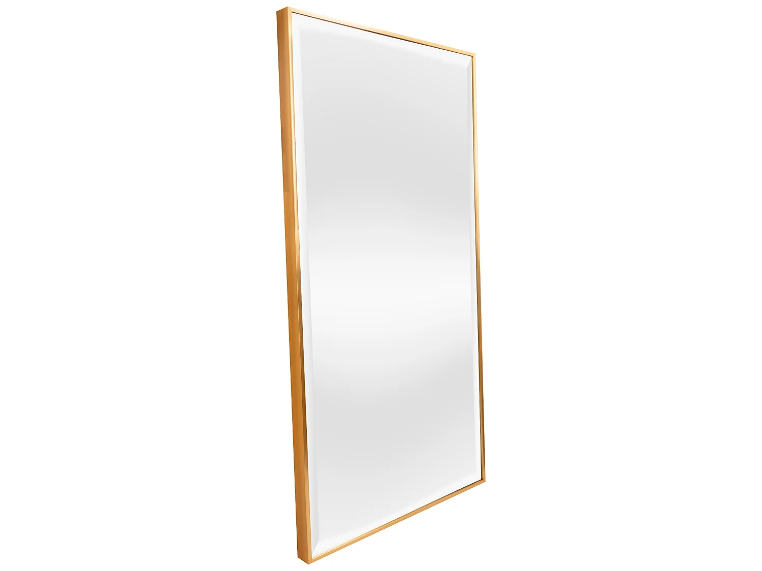 Miroir mural Novoli rectangulaire 102 x 52 cm doré [en.casa]