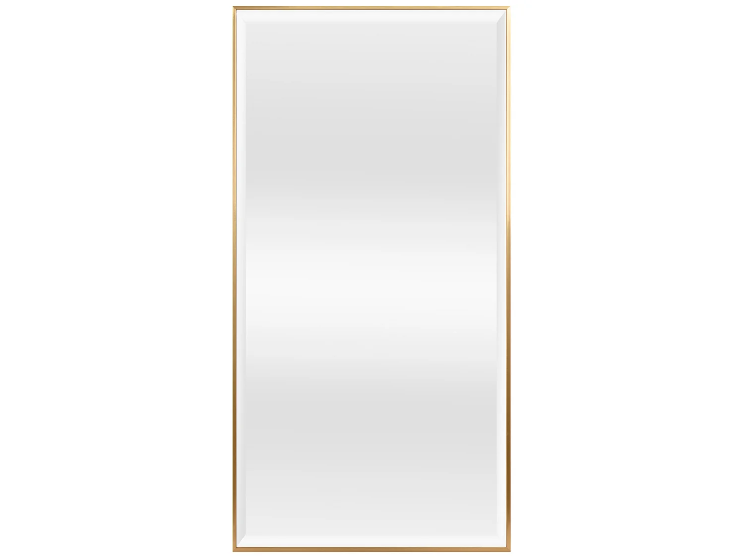 Miroir mural Novoli rectangulaire 102 x 52 cm doré [en.casa]