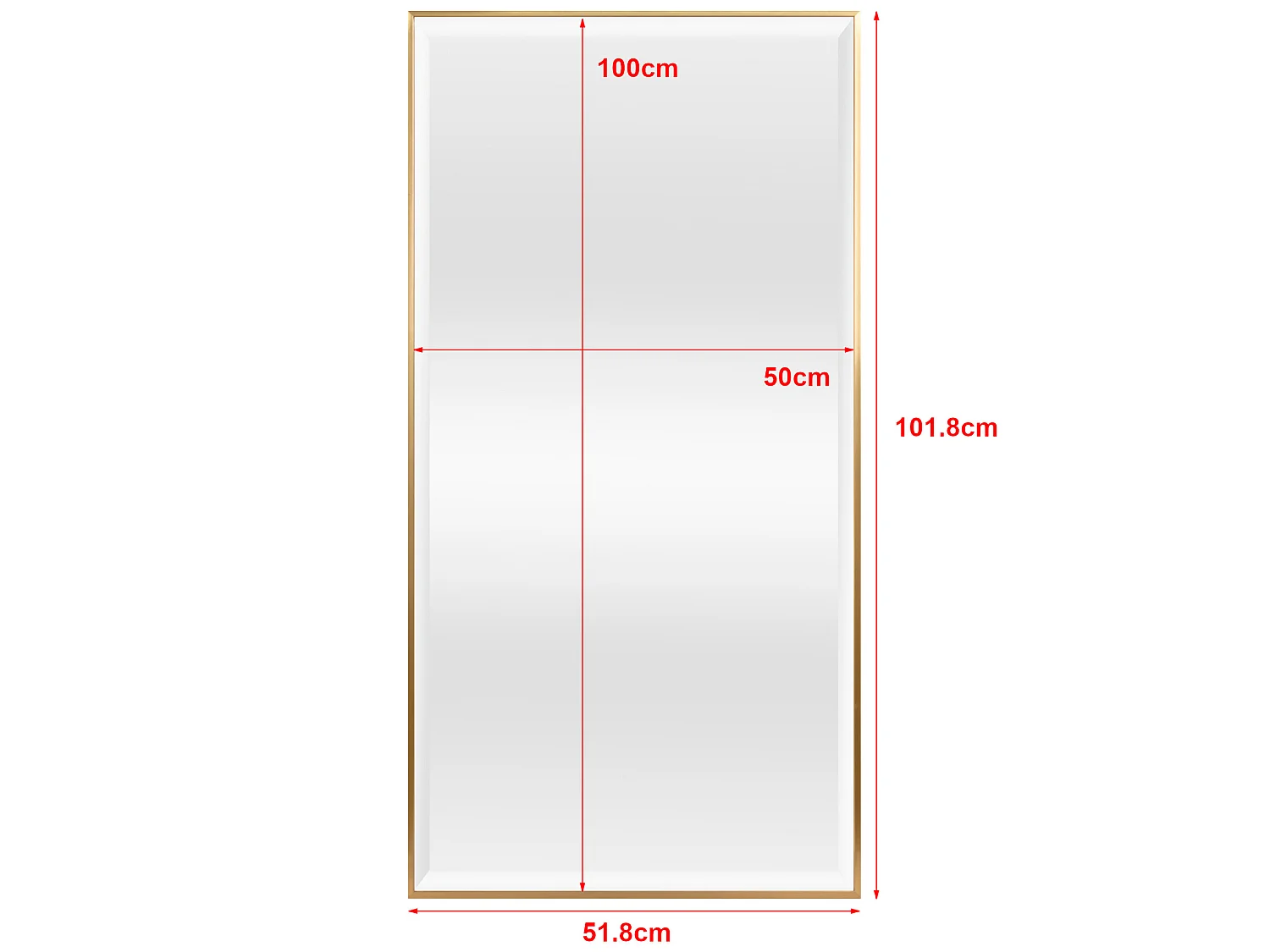 Miroir mural Novoli rectangulaire 102 x 52 cm doré [en.casa]