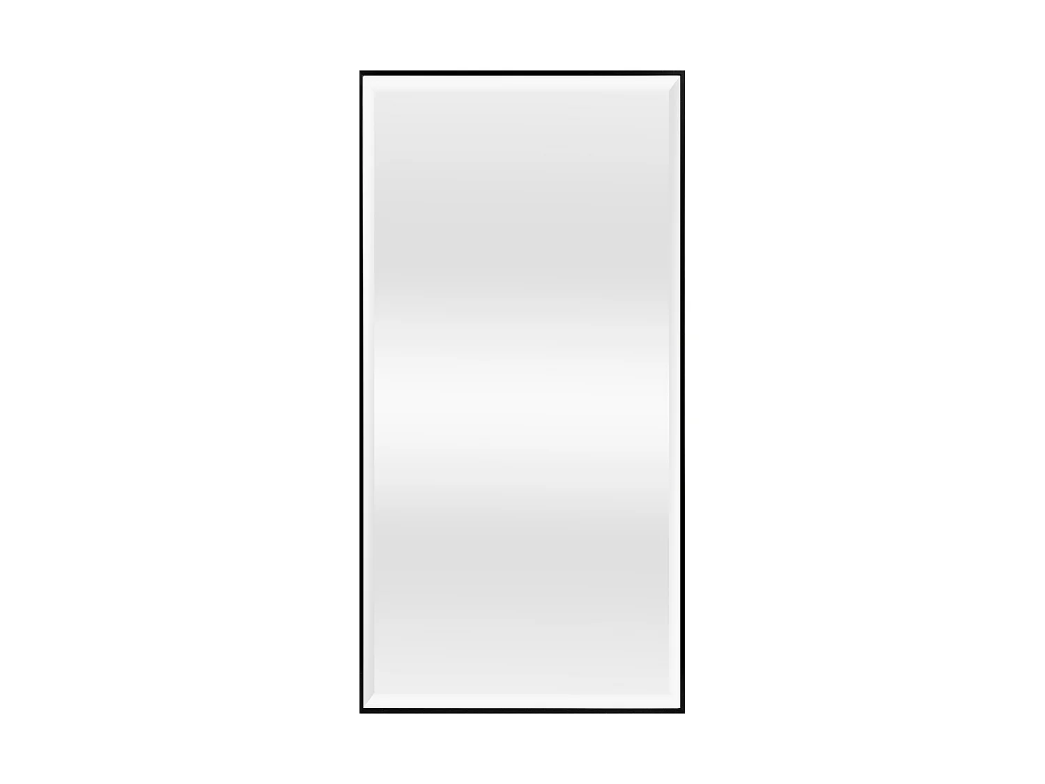 Miroir mural Novoli rectangulaire 102 x 52 cm noir [en.casa]