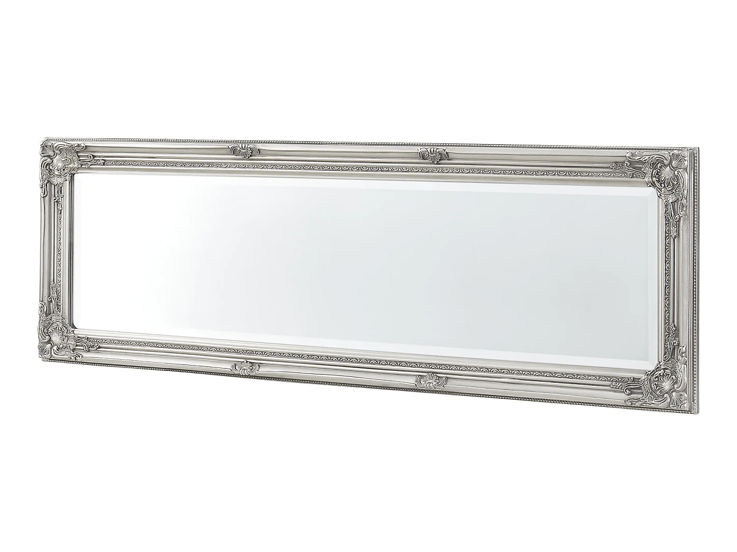 Miroir Mural Livorno 132 x 42 x 3,5 cm Argenté [en.casa]