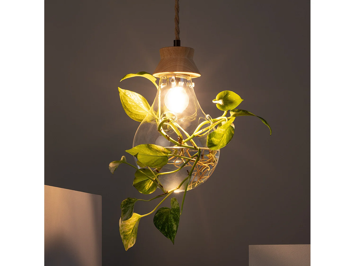 Lampada a Sospensione Legno e Vetro Kathu Bumbieris Naturale