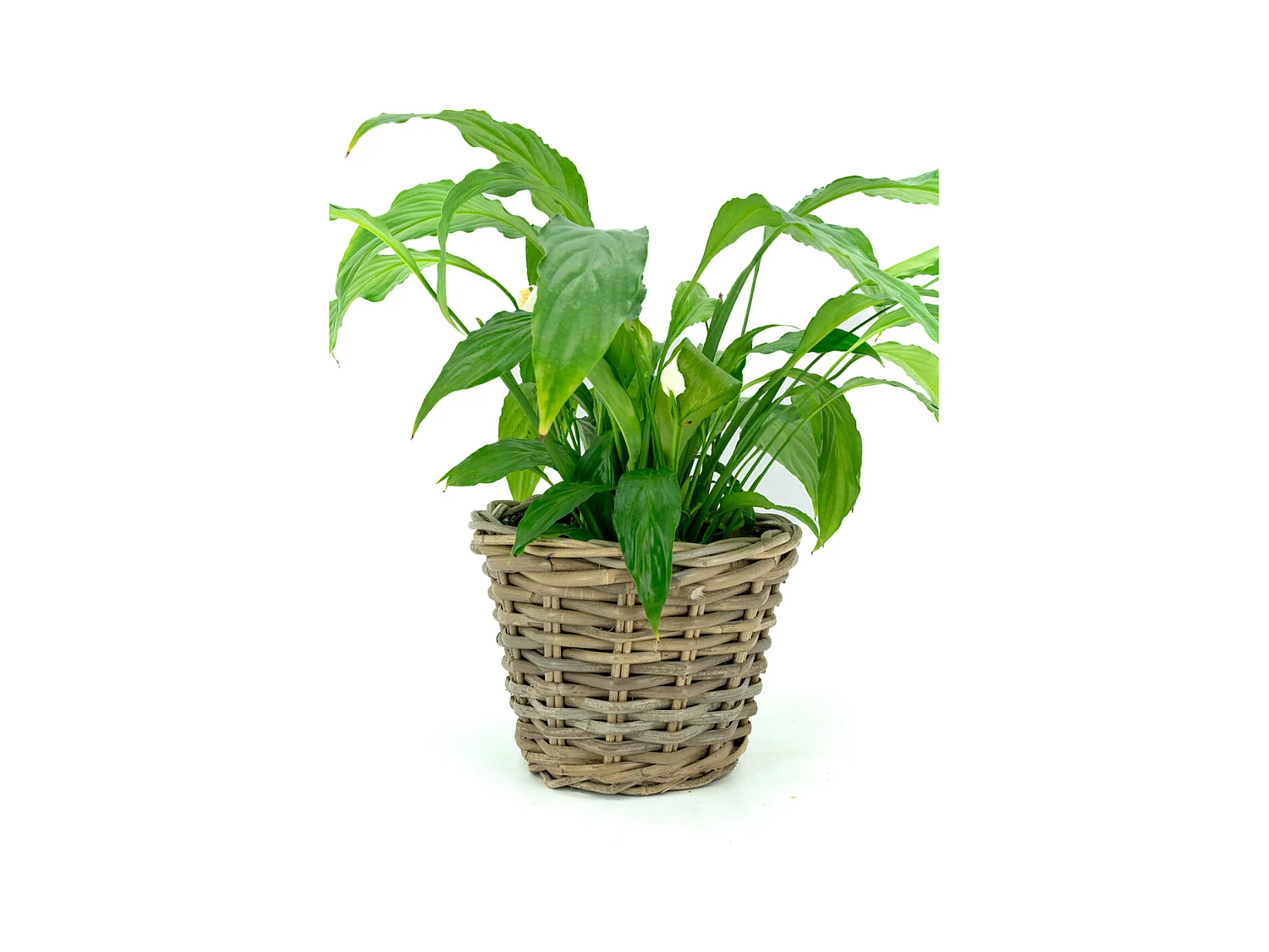 Corbeille ronde en poelet gris