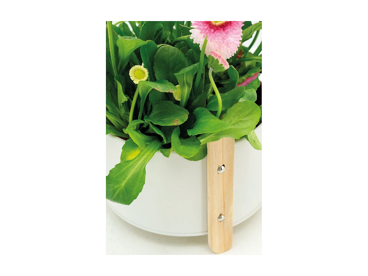 Cache-pot en métal laqué et bois 14.5 cm