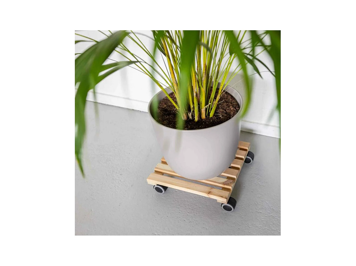Support à roulettes en bois pour plantes d'intérieur Carré - Naturel