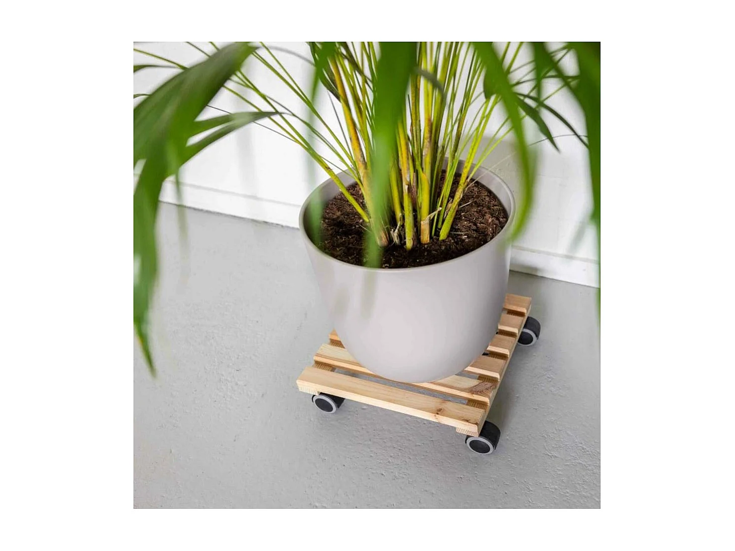Support à roulettes en bois pour plantes d'intérieur Carré - Naturel