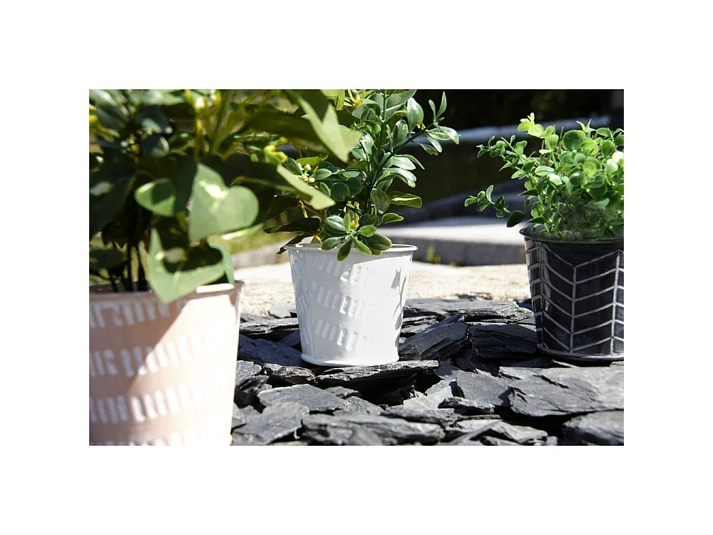 Mini cache-pot rond pastel (Lot de 3)