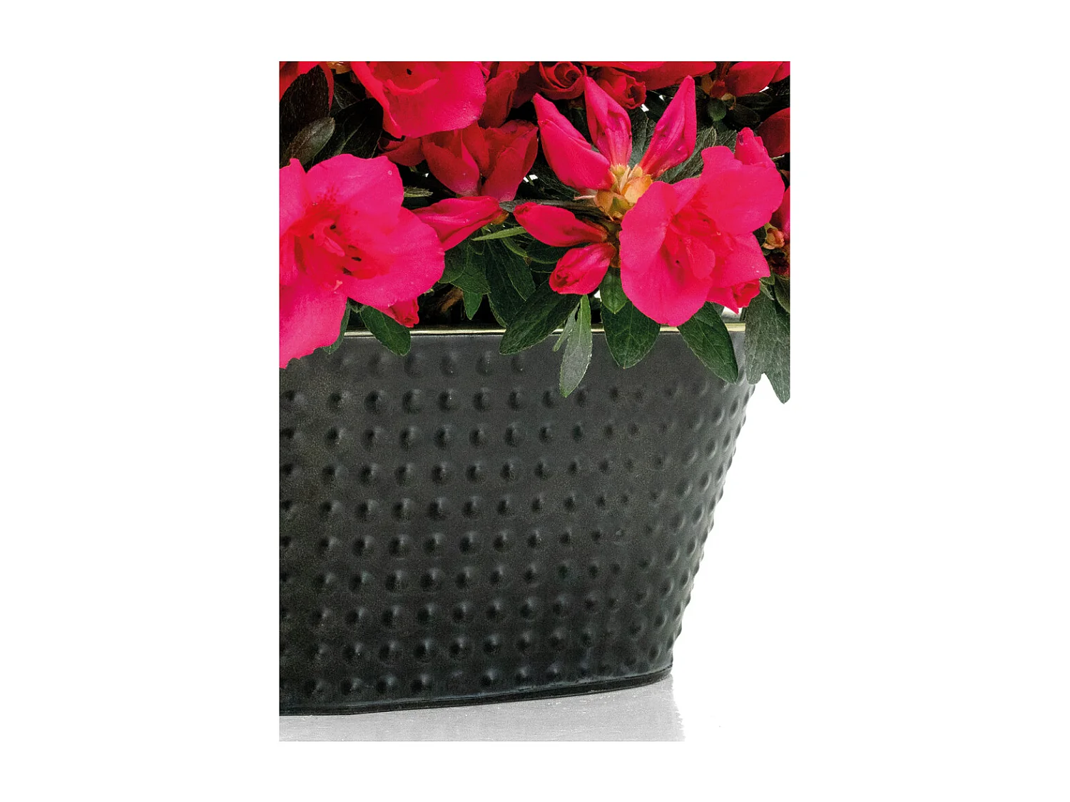 Corbeille ovale en métal noir laqué mat