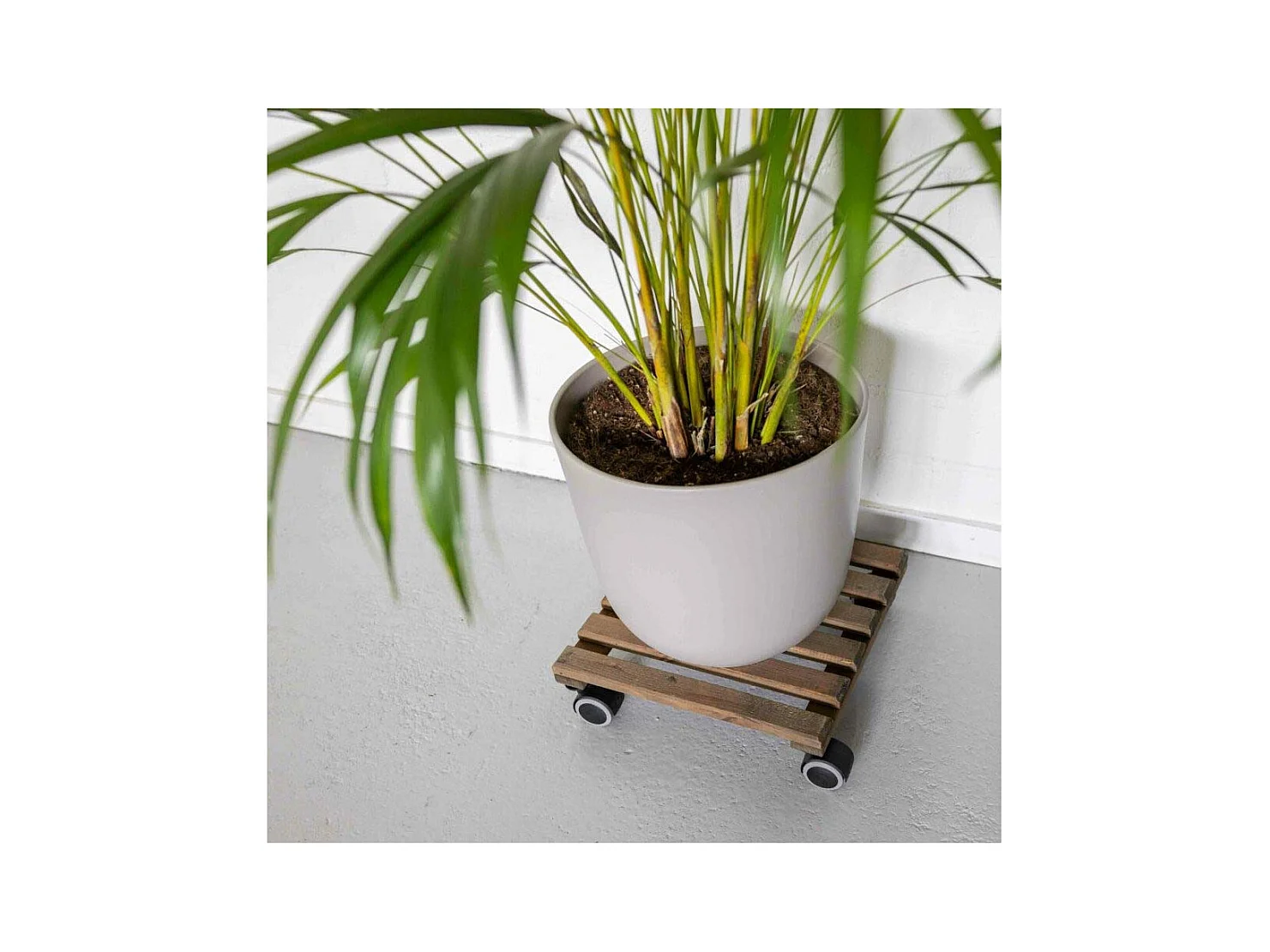 Support à roulettes en bois pour plantes d'intérieur Carré - Teinté marron