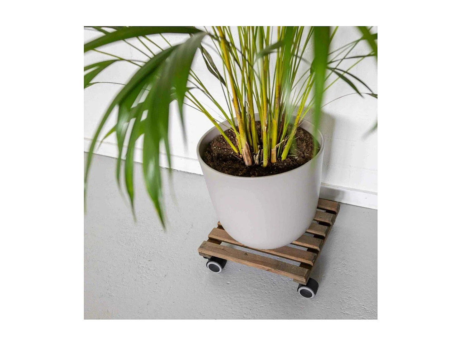 Support à roulettes en bois pour plantes d'intérieur Carré - Teinté marron