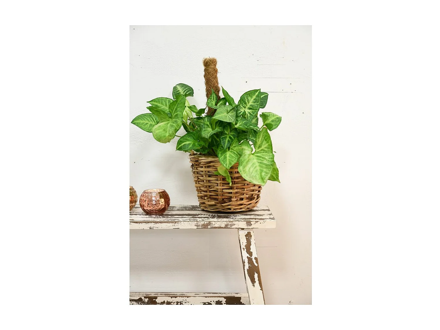 Cache-pots assortis en rotin (Lot de 3)