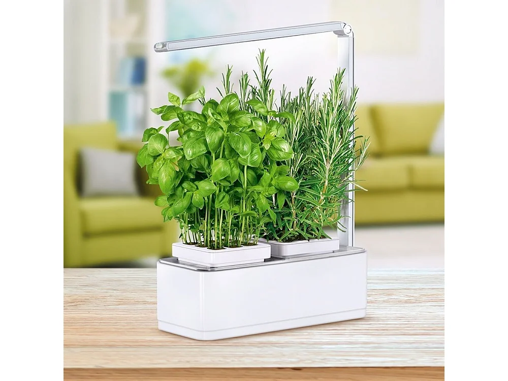 Jardinière avec lampe led intégrée Mini potager + engrais 1000 ml