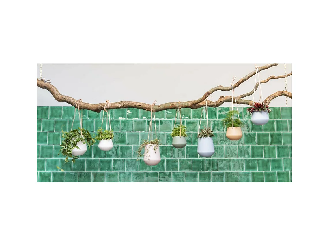 Support à plantes à suspendre Skittle small Rose