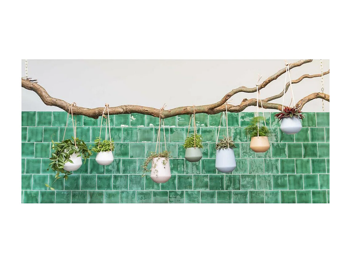 Supporto per piante sospese Skittle piccolo