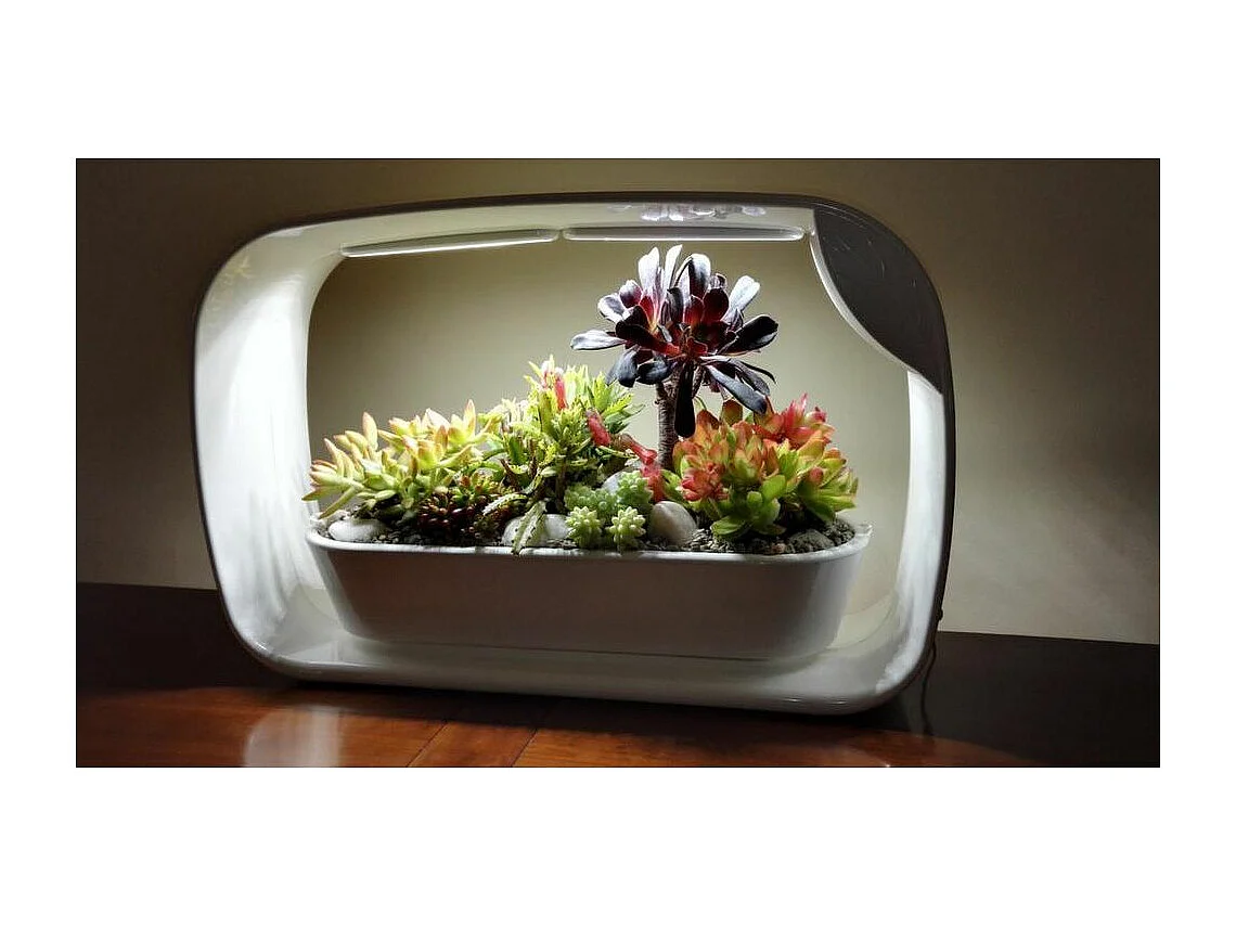 Lampe LED ludique avec jardinière intégrée et enceinte bluetooth 50 LED