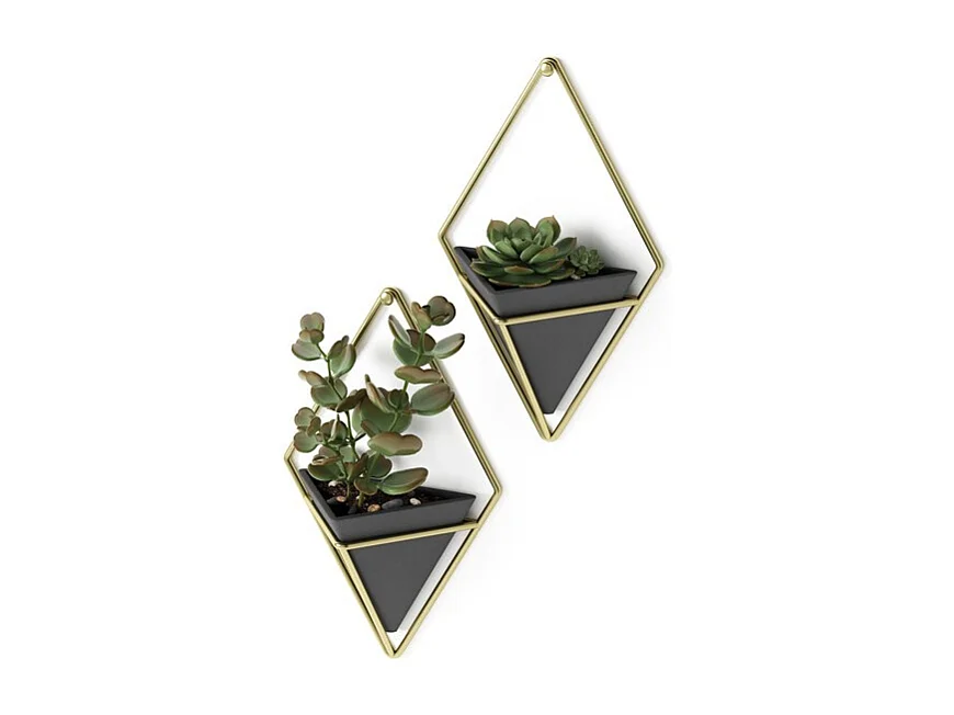 Support à plantes mural Trigg (Lot de 2)
