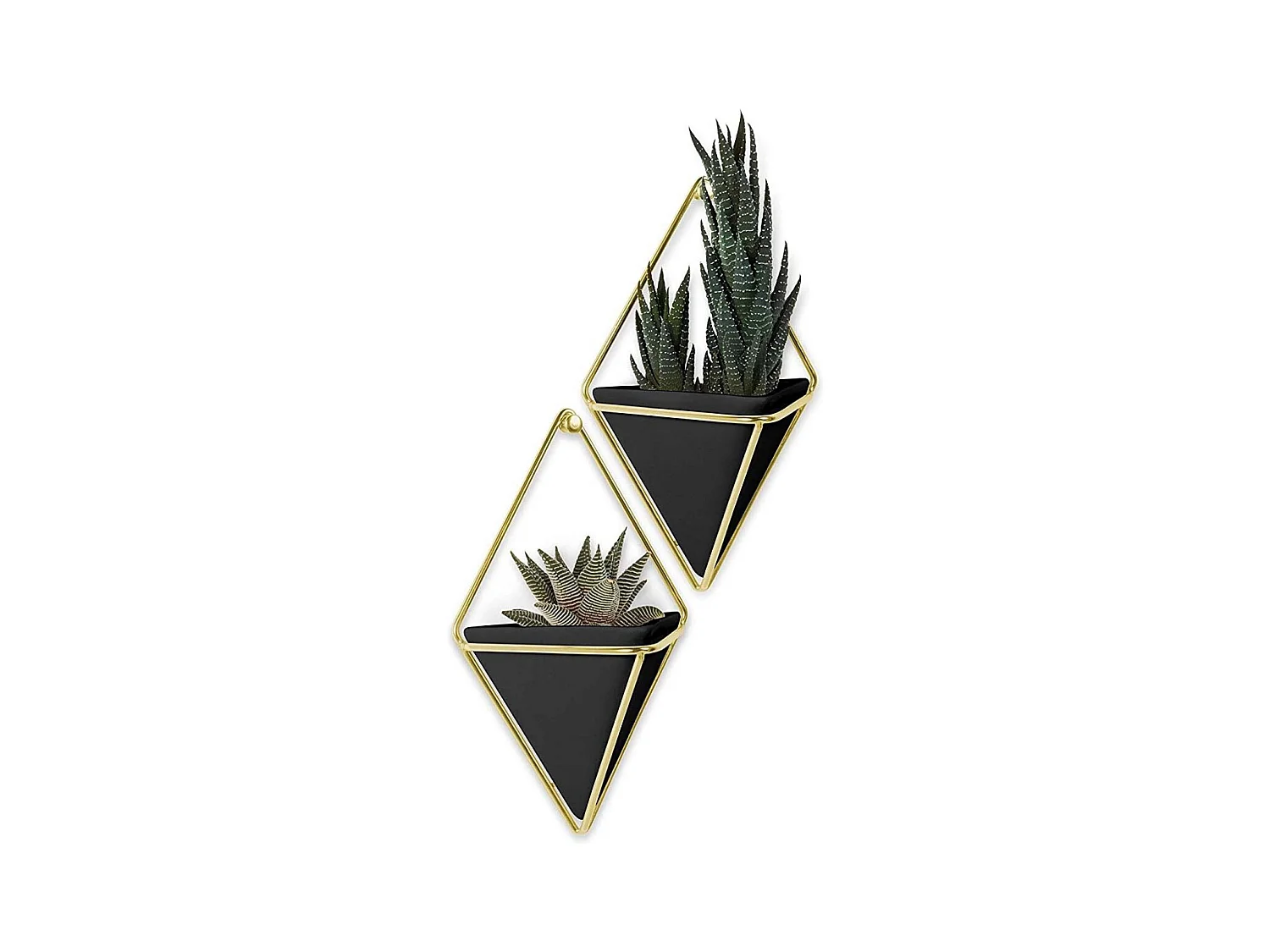 Support à plantes mural Trigg (Lot de 2)
