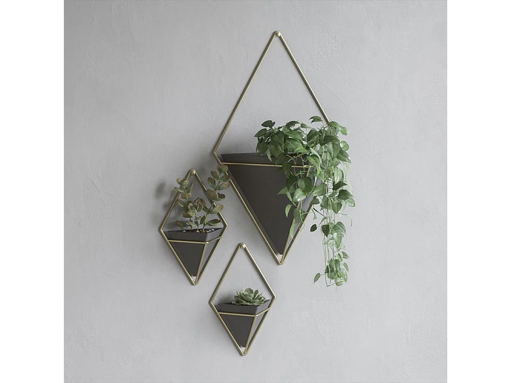 Support à plantes mural Trigg (Lot de 2)