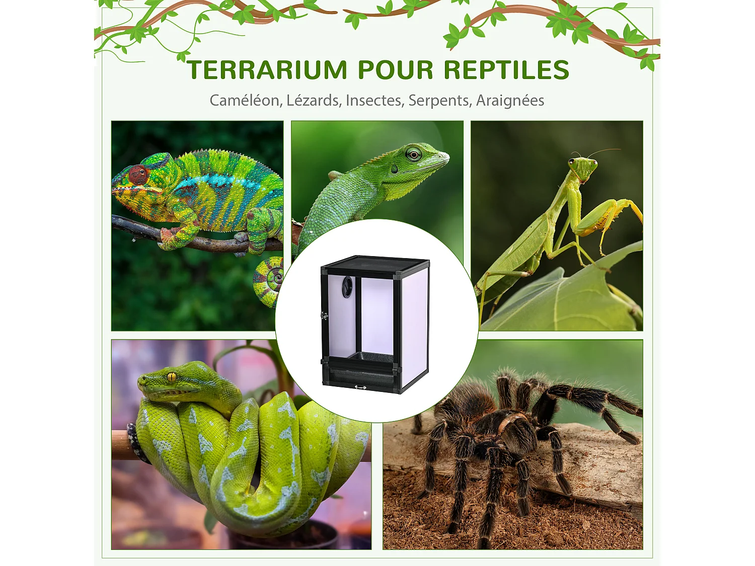 Terrarium vivarium boîte pour reptiles dim. 32L x 32l x 46H cm avec passe-câble, fond en ABS, plateau amovible noir blanc