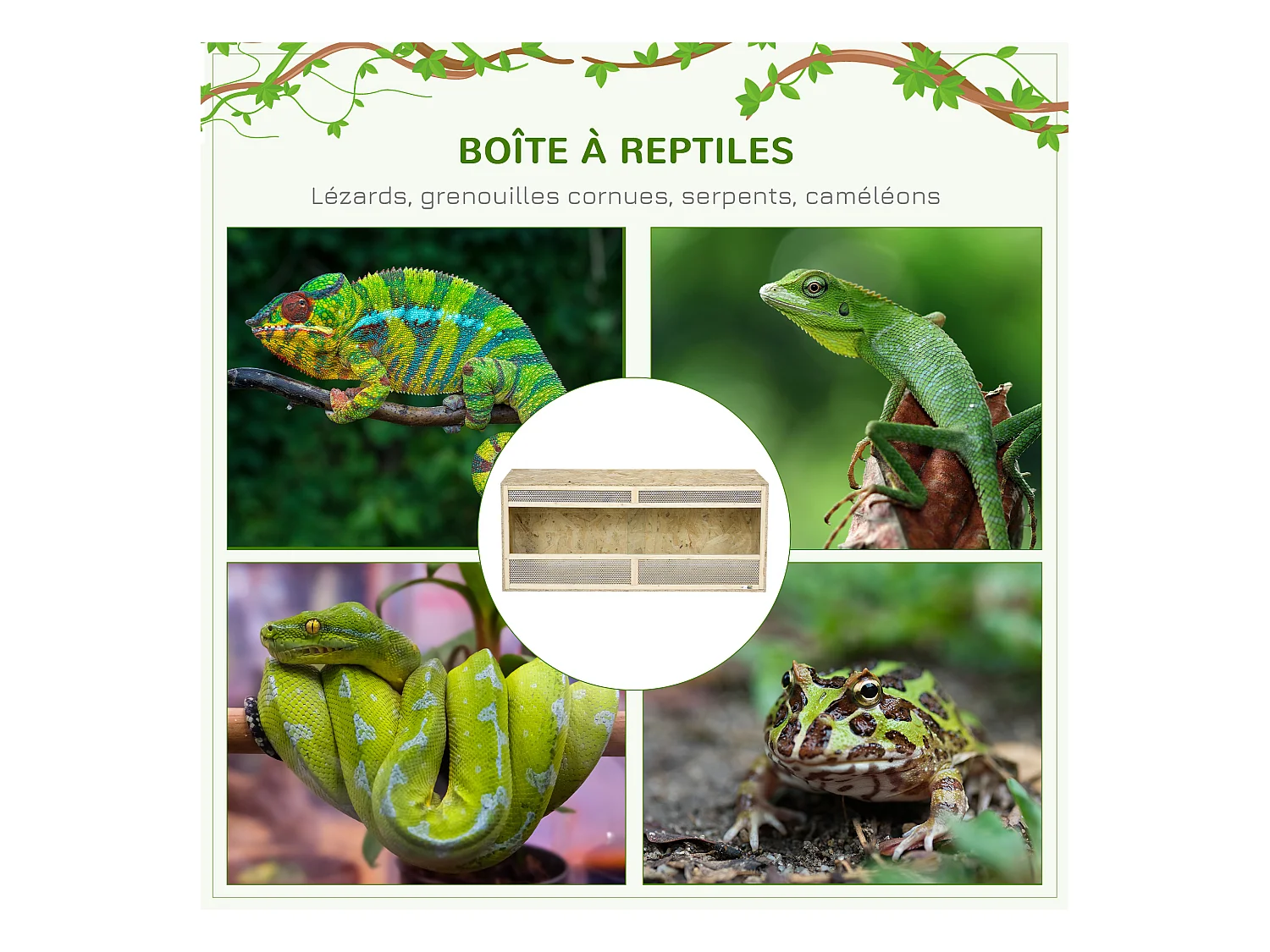 Terrarium - vivarium reptiles & batraciens - 2 portes coulissantes verre trempé - parois frontales maillées - OSB métal