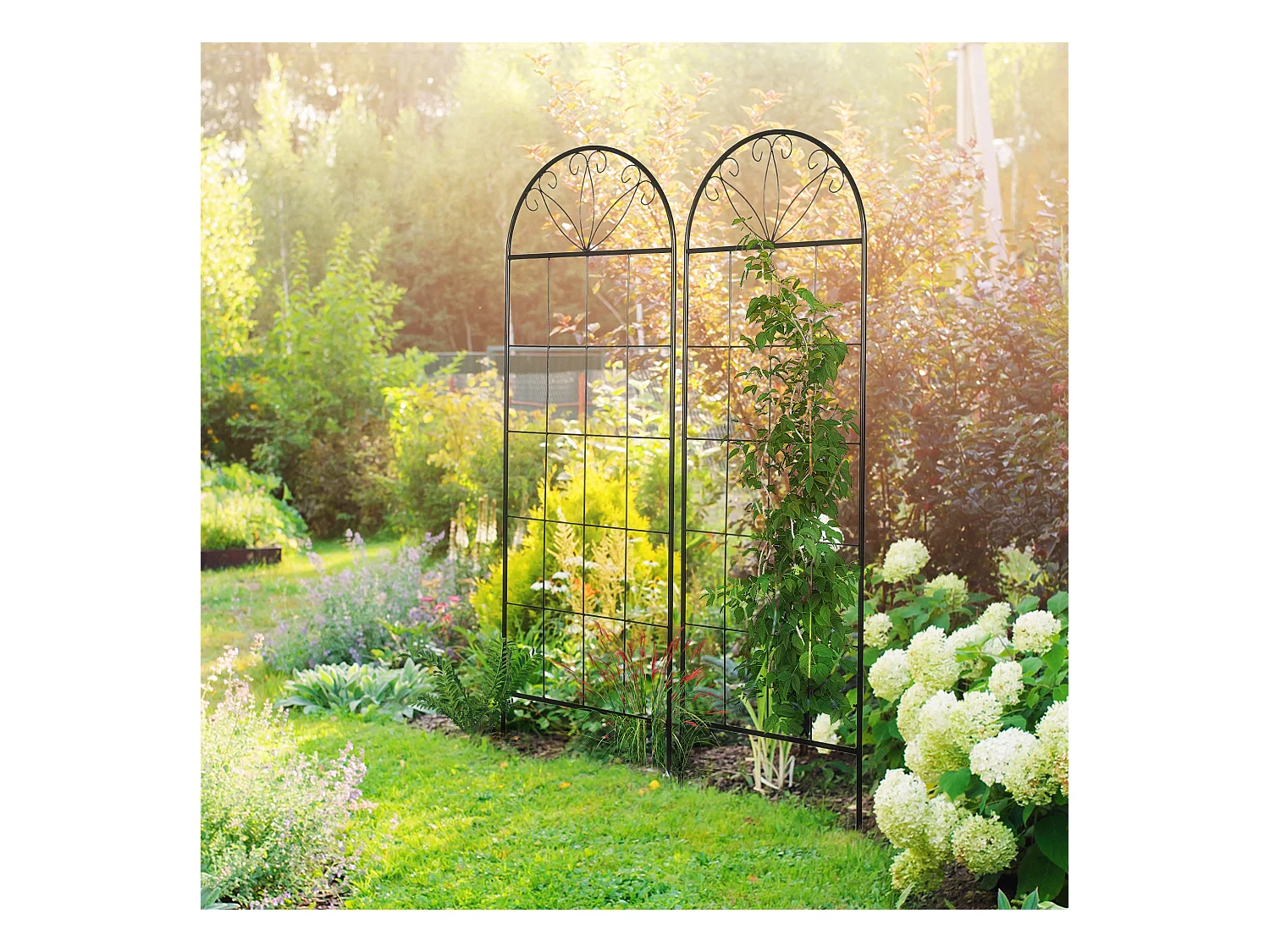 Treillis de jardin lot de 2 supports pour plantes grimpantes - dim. 51L x 152H cm - métal époxy noir
