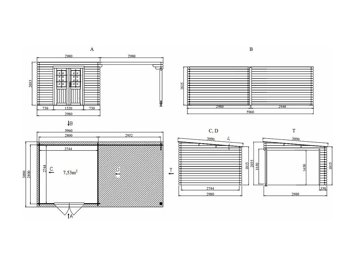 Abri de jardin toit plat avec auvent en bois 2,98 x 5,96 m
