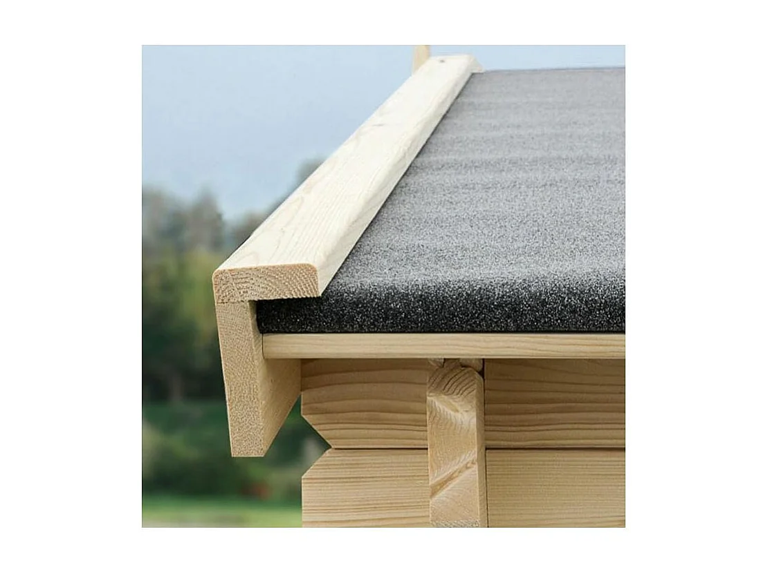 Abri de jardin toit plat avec auvent en bois 2,98 x 5,96 m