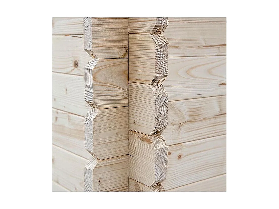 Abri de jardin toit plat avec auvent en bois 2,98 x 5,96 m