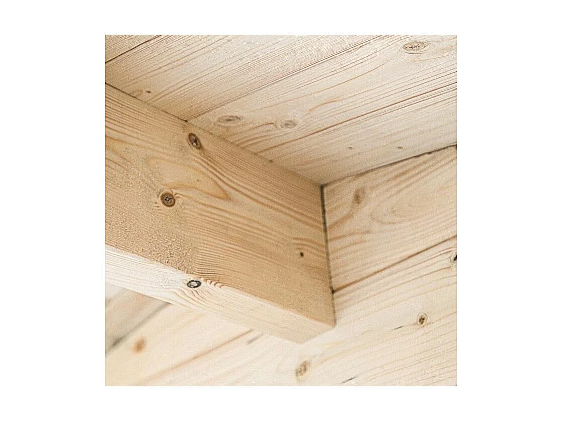 Abri de jardin toit plat avec auvent en bois 2,98 x 5,96 m