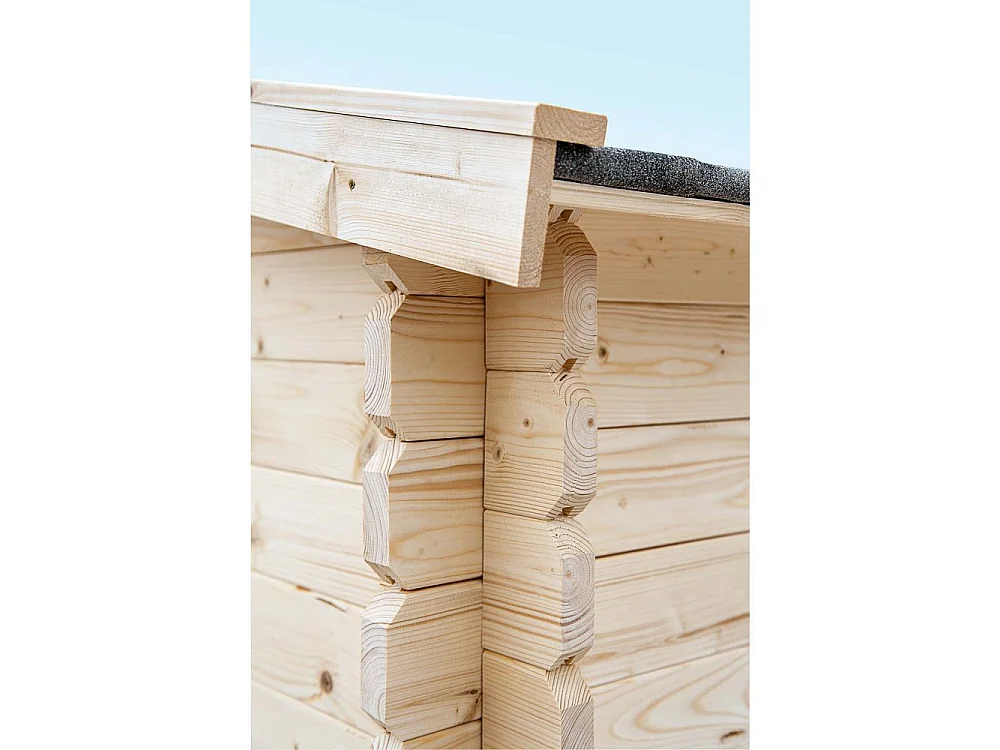 Abri de jardin en bois double pente Falun 2.5 x 2.5 m