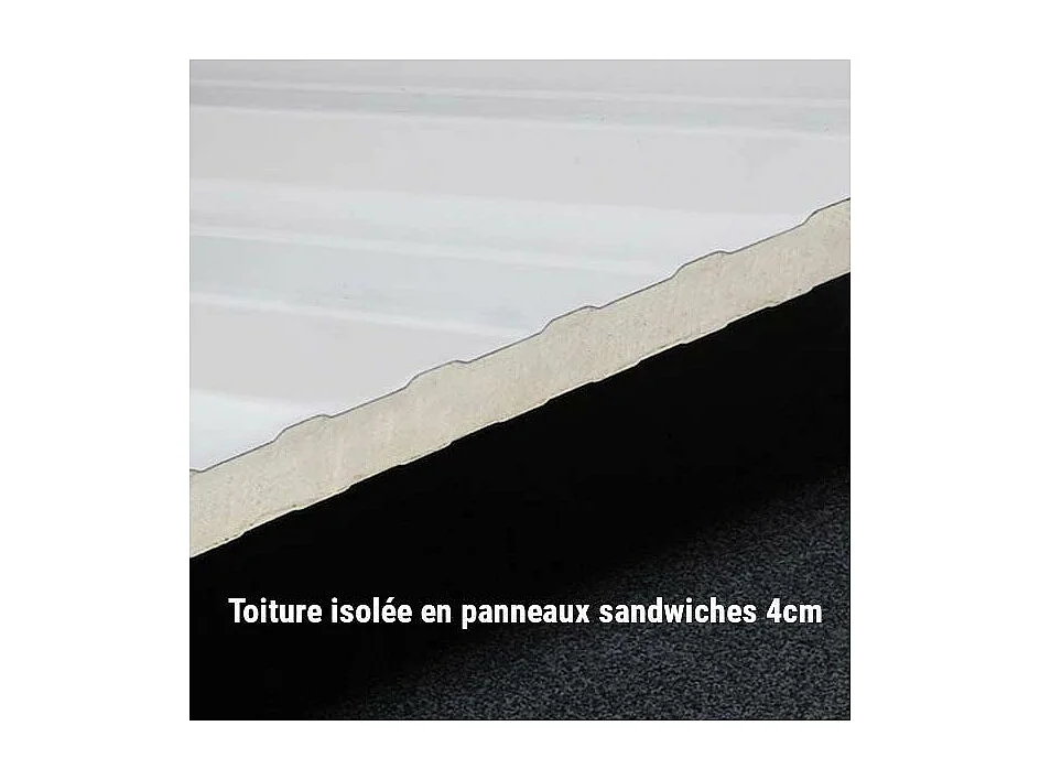 Abri de jardin moderne en acier porte double 5,6 m² Eleganto 2721