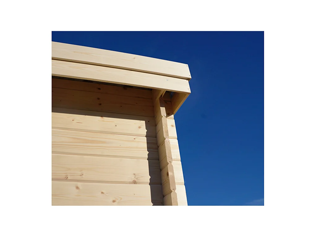 Chalet en bois 12.24 m² avec extension Moderne Sans option