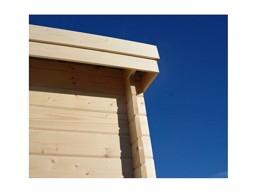 Chalet en bois 14.9 m² avec extension Moderne Avec gouttière