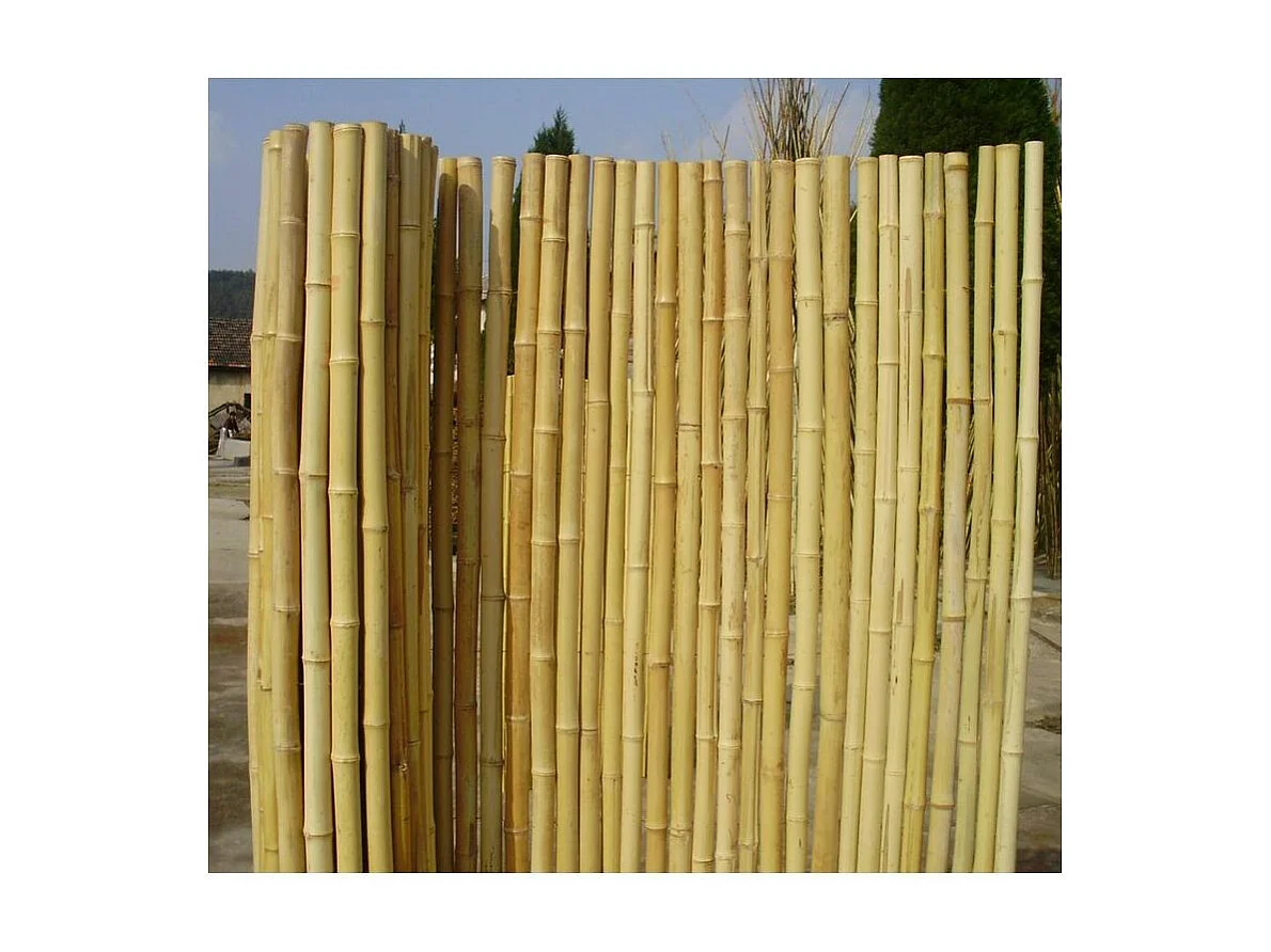 Canisse en bambou rond 2m (longueur) x 1m (hauteur)