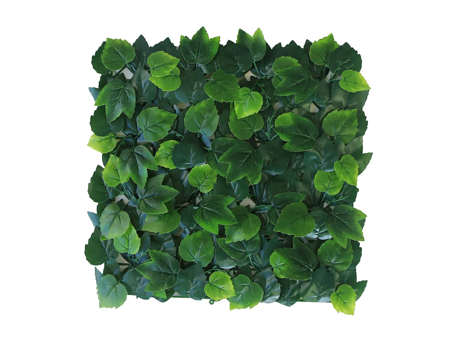 Plaques clipsables de feuillage artificiel 6m² (Lot de 24) LIerre de Boston