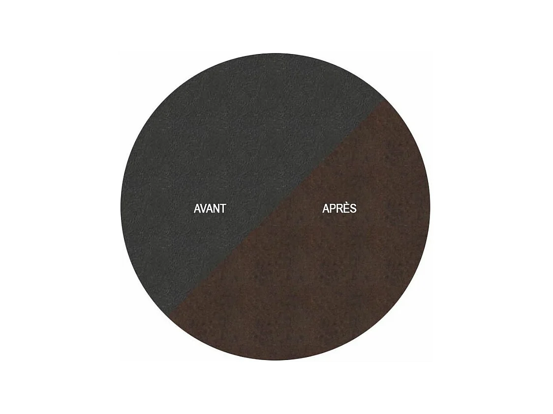 Oiseau sur pique aigle en acier corten