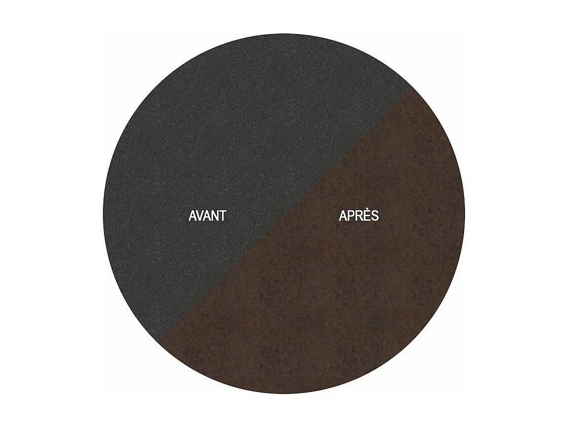 Oiseau sur pique aigle en acier corten