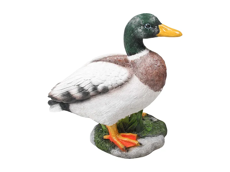 Canard colvert en résine Debout