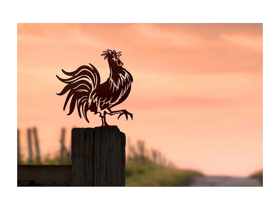 Oiseau sur pique coq gaulois emblème de la France