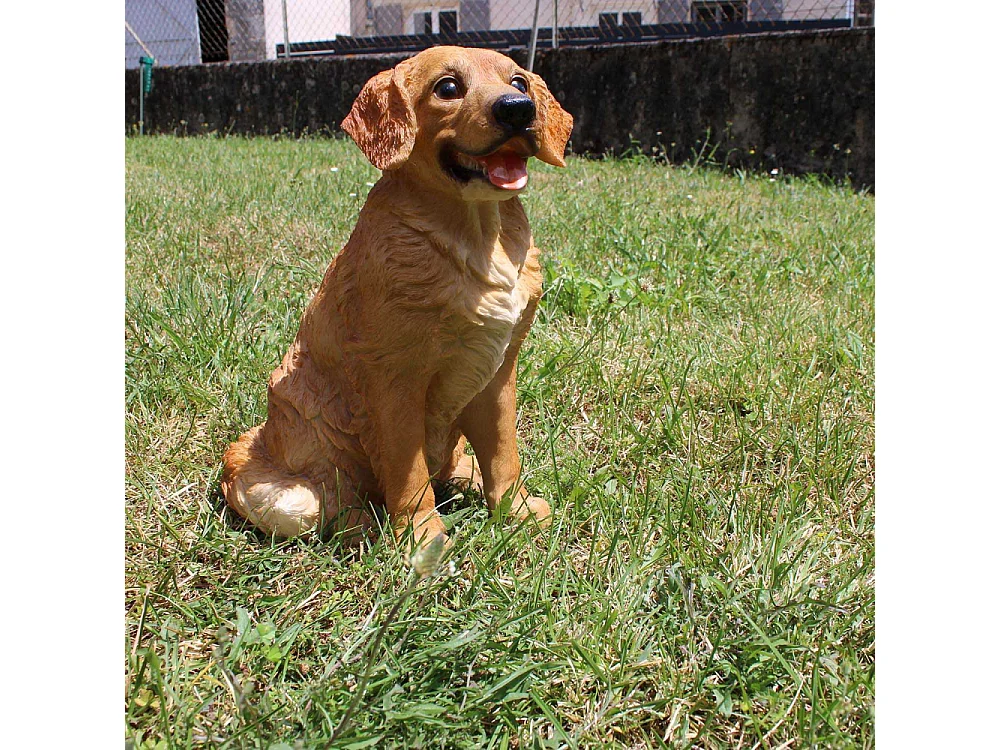 Cane Golden Retriever in resina Sitting