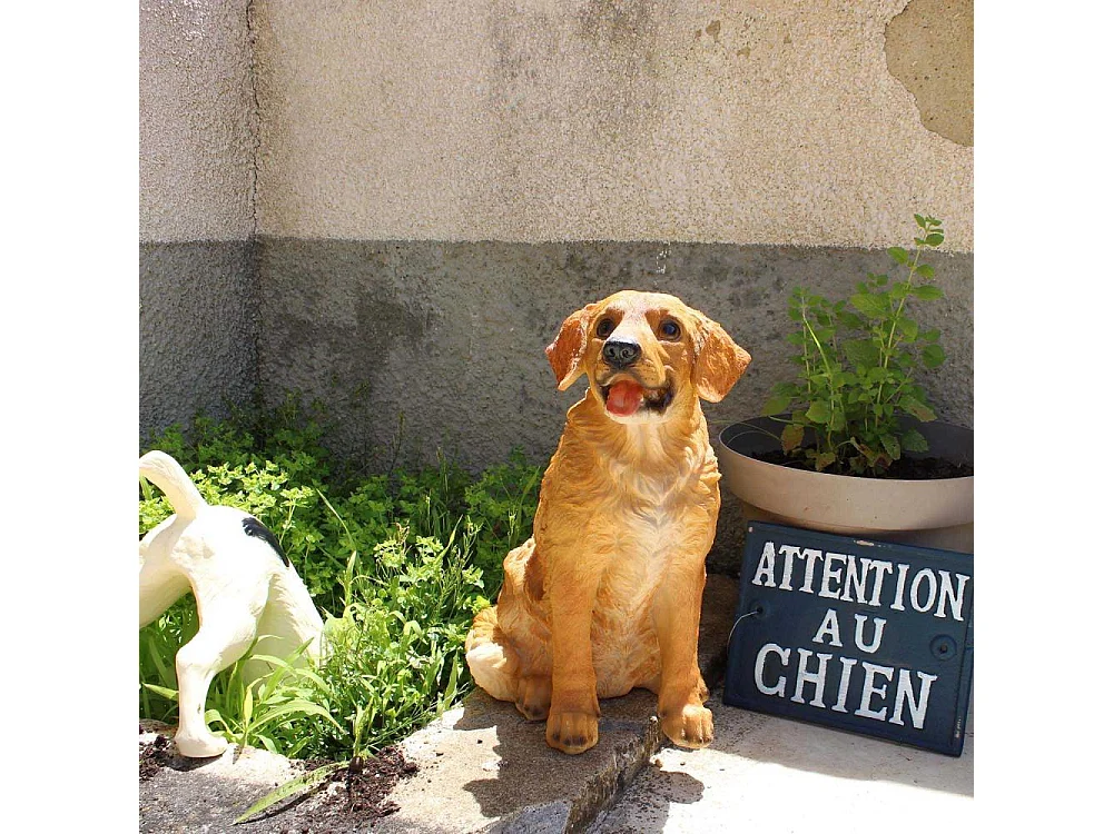 Cane Golden Retriever in resina Sitting