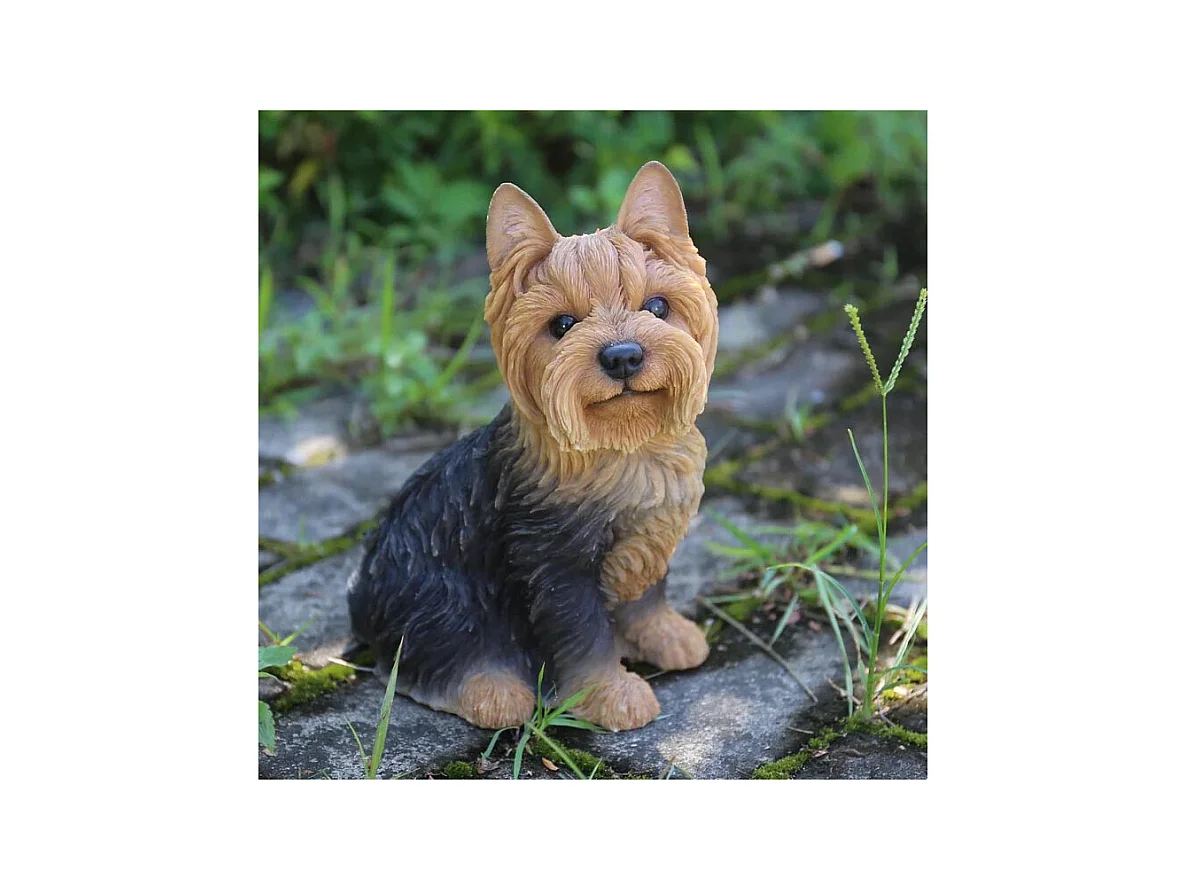 Yorkshire assis en résine 18 cm