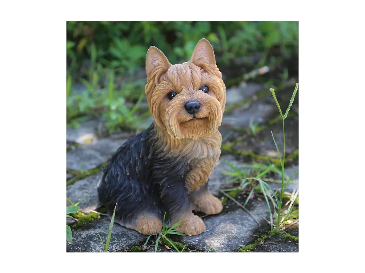 Yorkshire assis en résine 18 cm