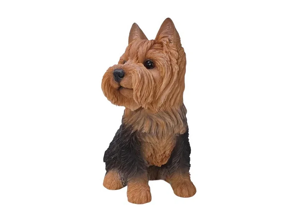 Yorkshire assis en résine 18 cm